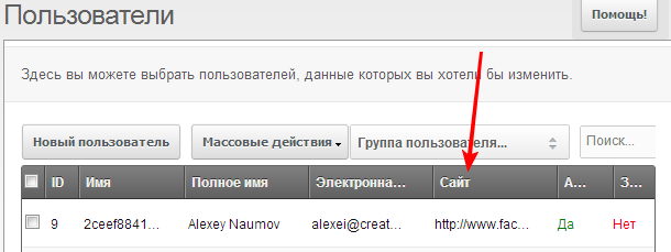 Список пользователей с колонкой website